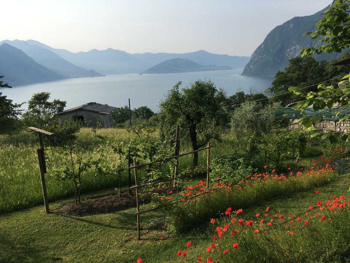 里瓦迪索尔托Irina'S House With View On Like And Swimming Pool公寓 外观 照片